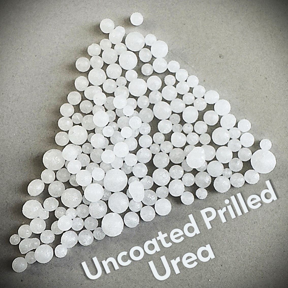 UCP34